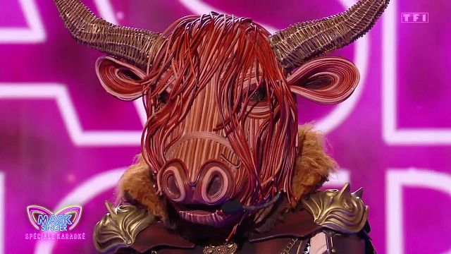 image de la news Mask Singer 2025 : le Bison démasqué, qui se cachait derrière ? "C'est une aventure de fou"