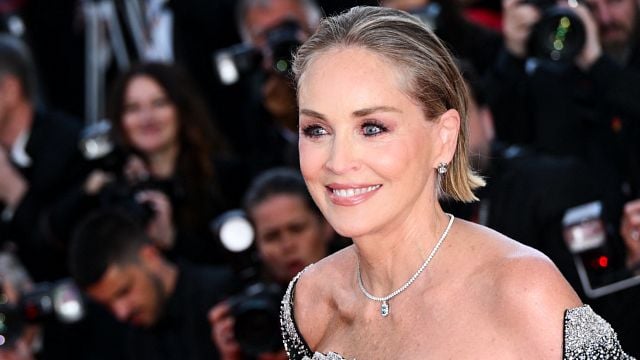 image de la news "Il a 81 ans" : Sharon Stone ne mâche pas ses mots sur le scénariste du nouveau Basic Instinct
