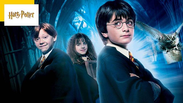 image de la news "Quelques références à Harry Potter" : ce village français doit payer une amende de 10 000 euros