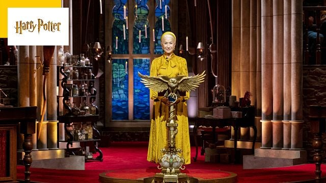 image de la news Harry Potter, le Tournoi des quatre maisons sur TMC : qui sont les acteurs présents dans cette émission spéciale ?
