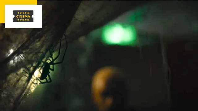 image de la news Ce film d'horreur avec de vraies araignées crée l'événement et c'est français !