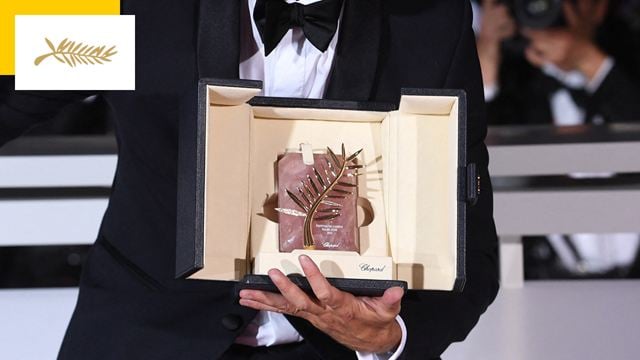 Cannes 2023 : les 19 films en compétition pour la Palme d'Or