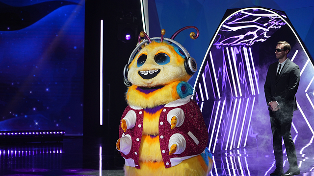 image de la news Mask Singer : quelles stars ont déjà été démasquées dans l’émission de TF1 ?