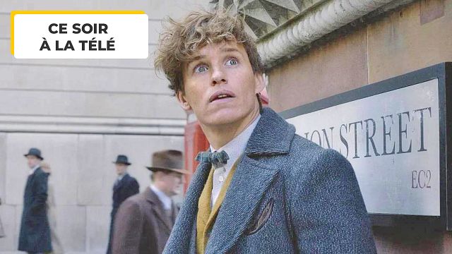 image de la news Les Animaux fantastiques 2 : avez-vous reconnu les deux seuls acteurs qui viennent de Harry Potter ?