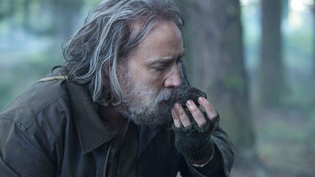 image de la news Le film que préfère Nicolas Cage dans sa filmographie est l'un de ses plus étonnants !