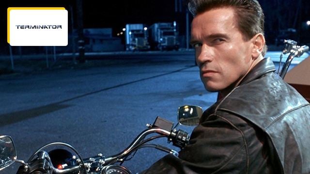 Arnold Schwarzenegger est né en Autriche : pourquoi la star de Terminator n'a pas été autorisée à se doubler en allemand ?