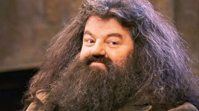 image de la news On sait qui va jouer Hagrid dans la série Harry Potter, et le choix de cet acteur devrait faire plaisir à tout le monde !