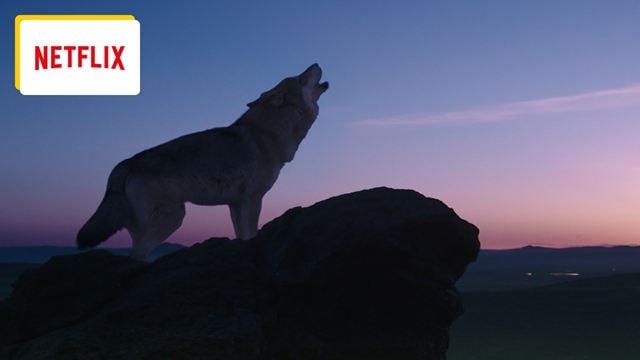 Ce soir sur Netflix : le réalisateur du Nom de la Rose filme les animaux comme personne, et chaque image de ce film le prouve