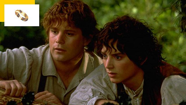 image de la news "Ce n'était pas bon" : cet acteur se souvient de son audition pour Le Seigneur des Anneaux