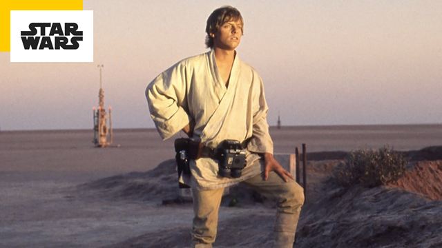 Star Wars : après la trilogie originale, Luke Skywalker a raté un rôle à Oscar