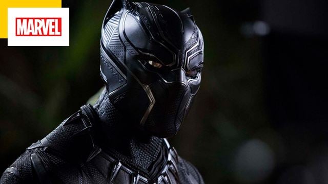 Black Panther 2 : si Chadwick Boseman n'était pas mort, voilà à quoi aurait ressemblé Wakanda Forever