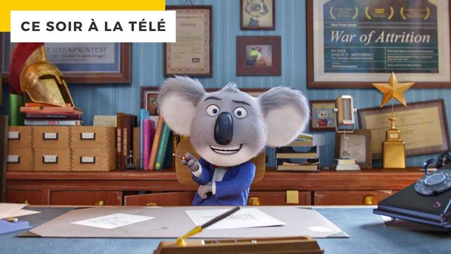 Ce soir à la télé : la preuve qu’un koala peut devenir une star de la comédie musicale