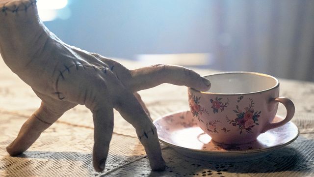 image de la news "Je n'ai pas eu de carrière, j'essayais de gagner de l'argent pour rester en vie" : cette star culte de Mercredi a sacrément galéré dans sa carrière avant de briller