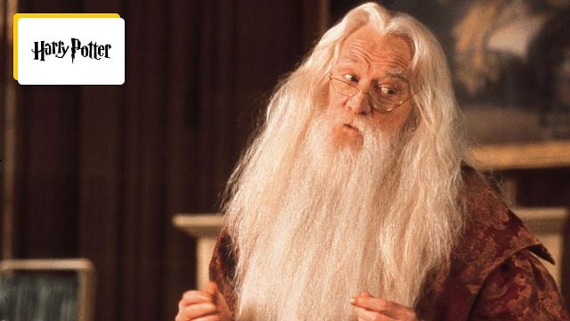 image de la news « Je ne comprends pas » : pourquoi cet acteur refuse de jouer dans la série Harry Potter ?