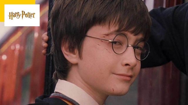 Harry Potter : quel professeur de Poudlard a aidé Daniel Radcliffe à avoir le rôle ?