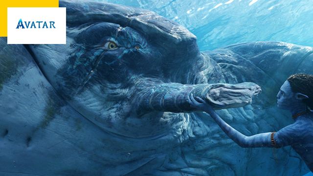 Avatar 2 : quelle est la taille du Tulkun, l'immense baleine du film ? 10 créatures fascinantes de Pandora