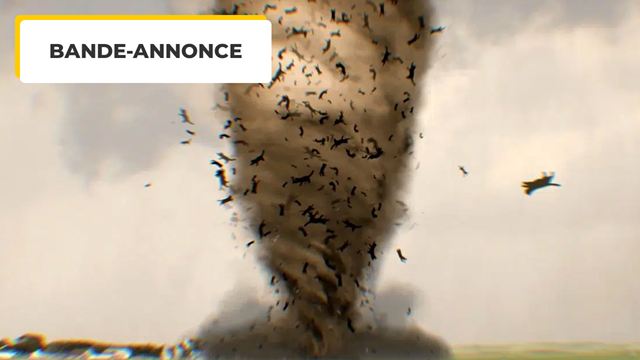 Bande-annonce Catnado : plus fort que Twisters, après la tornade de requins voici la tempête de chats !