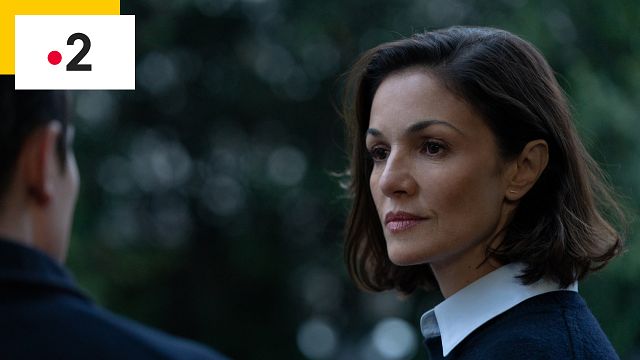 image de la news Les Siffleurs sur France 2 : la série est-elle inspirée d'une histoire vraie ?