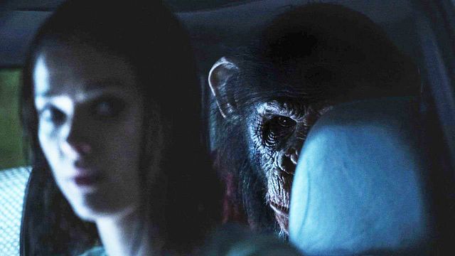 image de la news Réaliste et surprenant, Primate va vous rappeler les films d'angoisse à l'ancienne