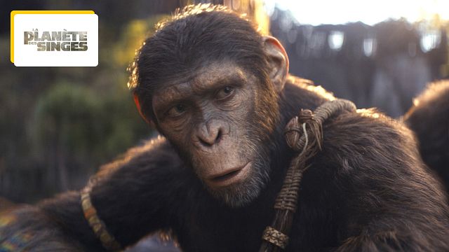 image de la news La Planète des singes 2024 : à qui le film Le Nouveau Royaume rend hommage ?