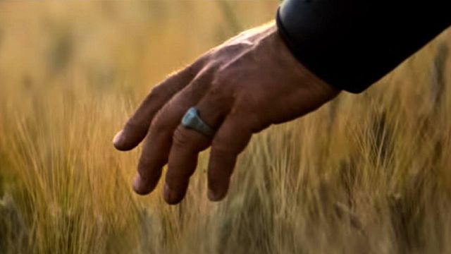 image de la news Ce soir à la télé : noté 4,5 sur 5, c'est l'un des sommets du péplum et du film d'aventure
