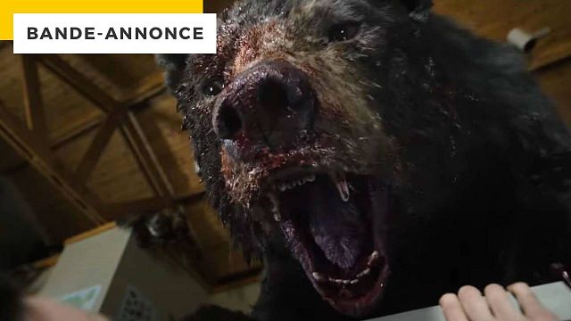 image de la news Ray Liotta face à un ours drogué dans l'un de ses derniers films : c'est la bande-annonce démente de Crazy Bear