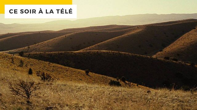 image de la news Ce soir à la télé : l’un des meilleurs méchants du cinéma (malgré sa coupe de cheveux)