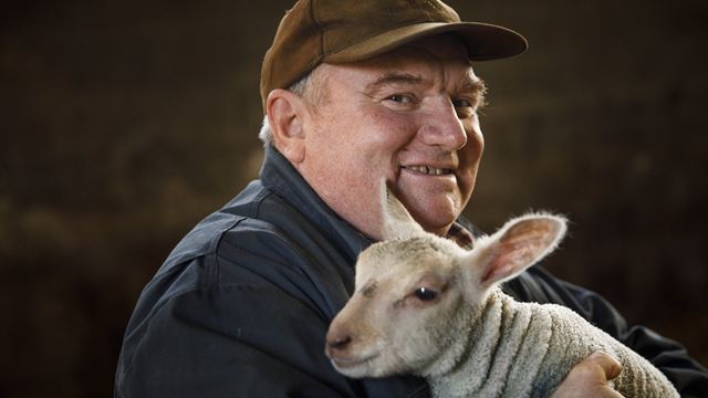 L'amour est dans le pré 2024 (portrait) : qui est Pascal alias "Bobosse", le timide éleveur de vaches ?