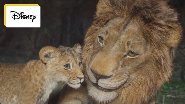 image de la news Avant Le Roi Lion, il y avait Mufasa : tout savoir sur le film Disney qui revient sur l'enfance du père de Simba