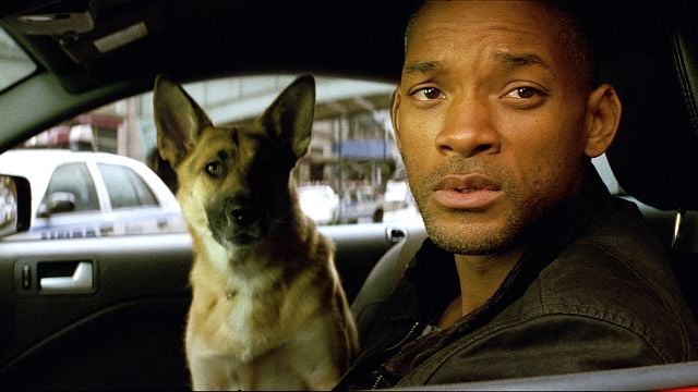 image de la news Je suis une légende 2 : la suite avec Will Smith et Michael B. Jordan a trouvé son réalisateur !