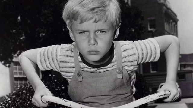 image de la news Mort de Jay North : l'enfant star de Denis la petite peste avait 73 ans