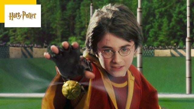 Harry Potter : la photo de cette star a beaucoup aidé Daniel Radcliffe sur le tournage