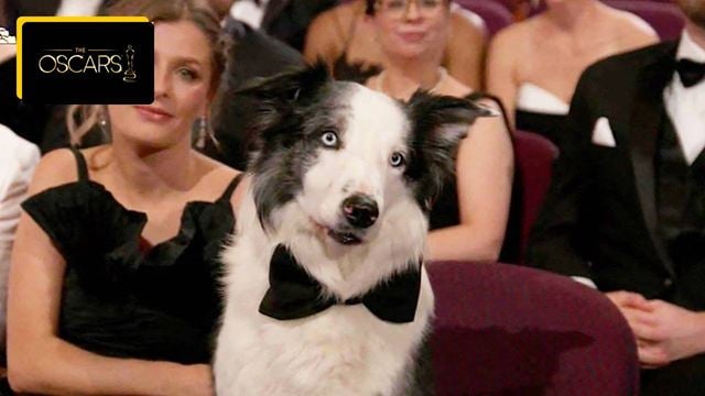 Après la polémique Anatomie d'une chute Vs Dodin Bouffant, un changement est acté pour les Oscars 2025