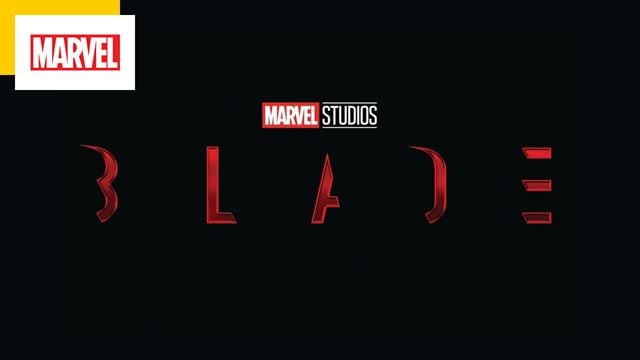 Marvel : annoncé dans Blade, ce super-héros sera t-il coupé du film ?