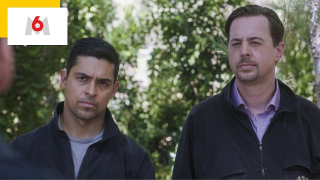 image de la news "Les gens ont appris à nous connaître et à nous aimer" : le 450e épisode de NCIS, c'est ce soir sur M6 !