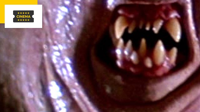 image de la news L'un des plus grands films d'horreur de tous les temps aura-t-il bientôt une suite ?