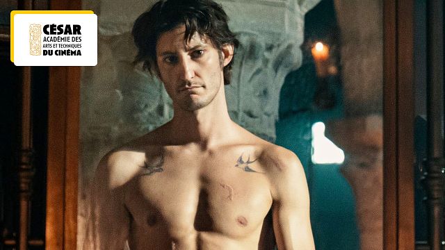 image de la news Monte-Cristo, L'Amour ouf... où voir les films nommés aux César 2025 ?