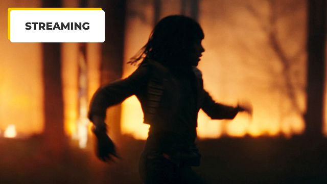 image de la news Les fans de cette série de science-fiction autant soutenue que décriée se mobilisent pour une saison 2