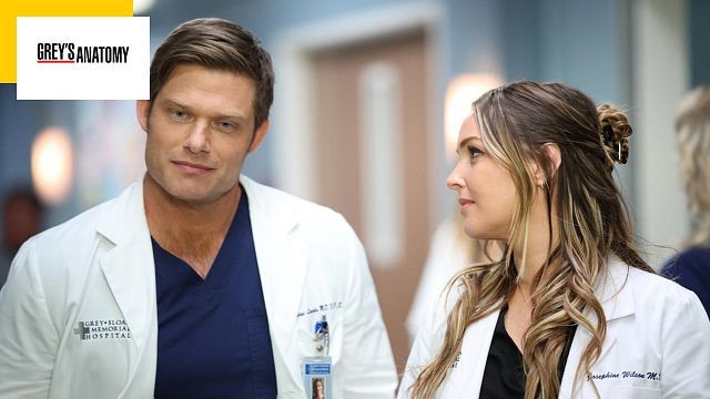 image de la news Grey's Anatomy : quand sortira la saison 20 ? On a la réponse !