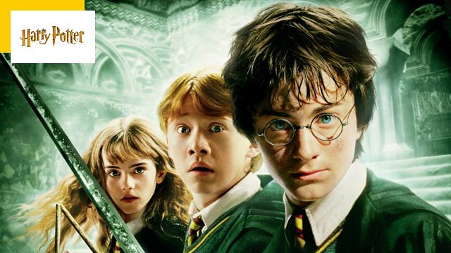 image de la news Harry Potter et la chambre des secrets : 11 détails cachés dans le film