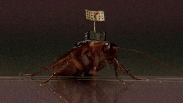 image de la news Le Cinquième élément : Luc Besson avait 16 ans quand il a imaginé ce film aux 264 millions de dollars de recettes dans le monde