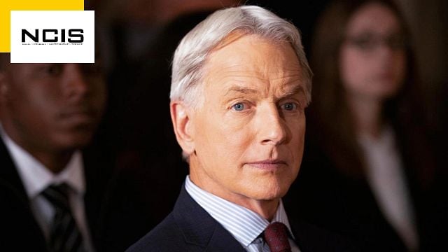 image de la news NCIS : Mark Harmon (Gibbs) a gagné une petite fortune grâce à la série