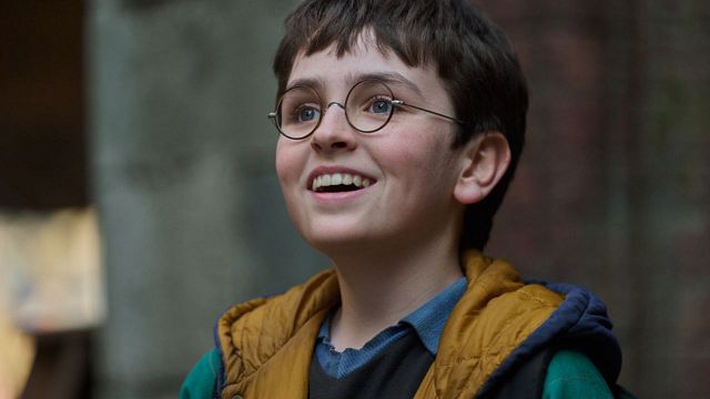 image de la news Harry Potter : 5 différences entre la série et les films !