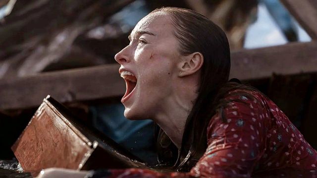 image de la news Netflix : 9 nouveautés débarquent cette semaine, dont un film de requins qui va vous faire frissonner…