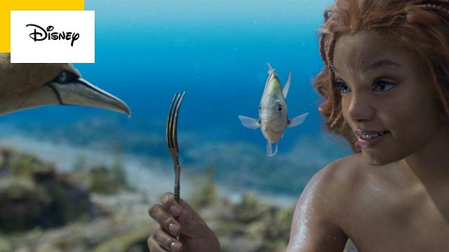 image de la news La Petite Sirène : quelle star mondialement connue a refusé de jouer dans ce film Disney ?