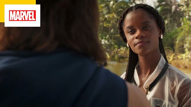 image de la news Black Panther sur TF1 : quel Avenger apparaît dans la scène post-générique du film ?
