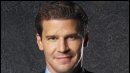 image de la news Une petite fille pour David Boreanaz