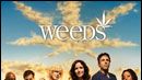 image de la news "Weeds" : coup d'envoi de la saison 3