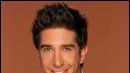 image de la news David Schwimmer : la bande-annonce de son film !