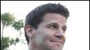image de la news La production de "Bones" arrêtée pour cause de Grippe A